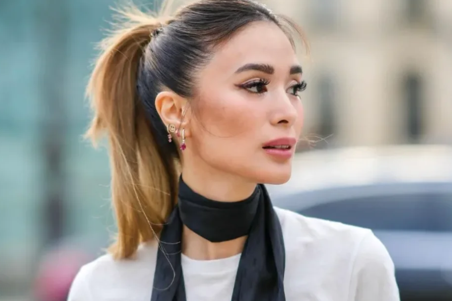 Heart Evangelista Net Worth